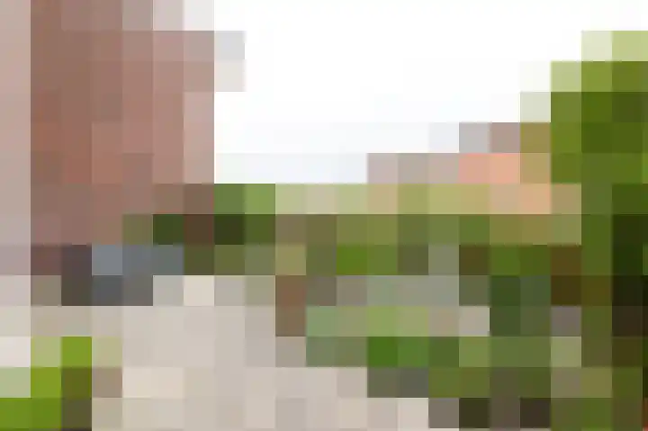 Strandwal 91 Vlissingen thumbnail 24