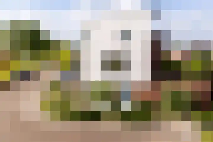 Strandwal 91 Vlissingen thumbnail 5