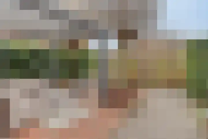 Strandwal 93 Vlissingen thumbnail 29