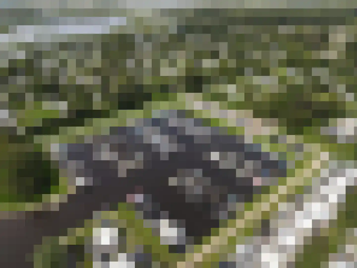 Strandweg 2 j Kropswolde thumbnail 12