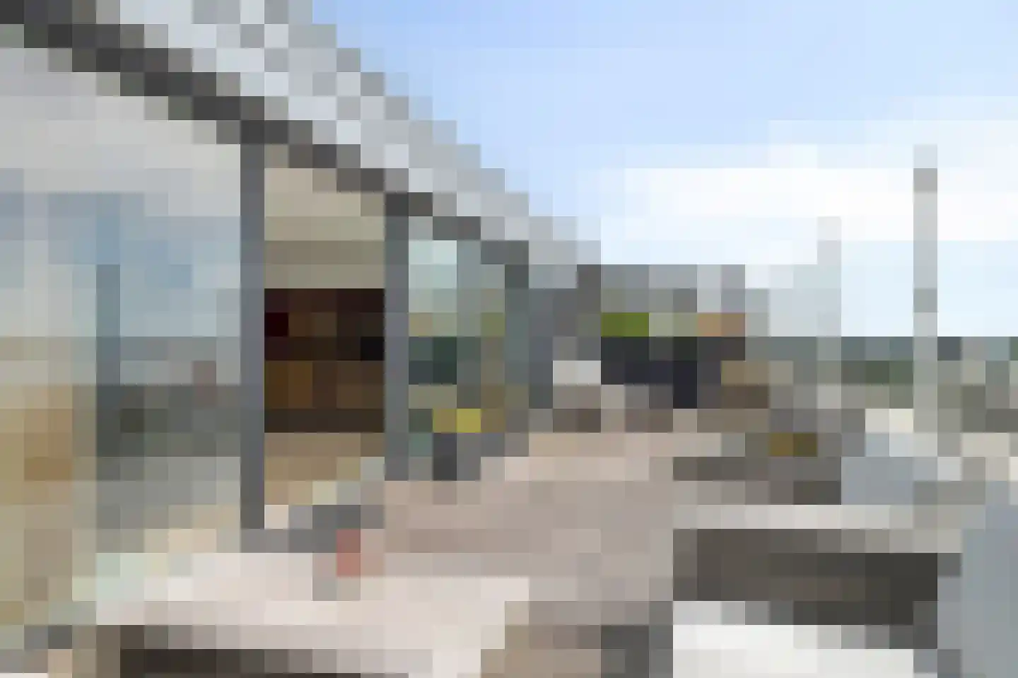 Strandweg 337 Hoek van Holland thumbnail 38