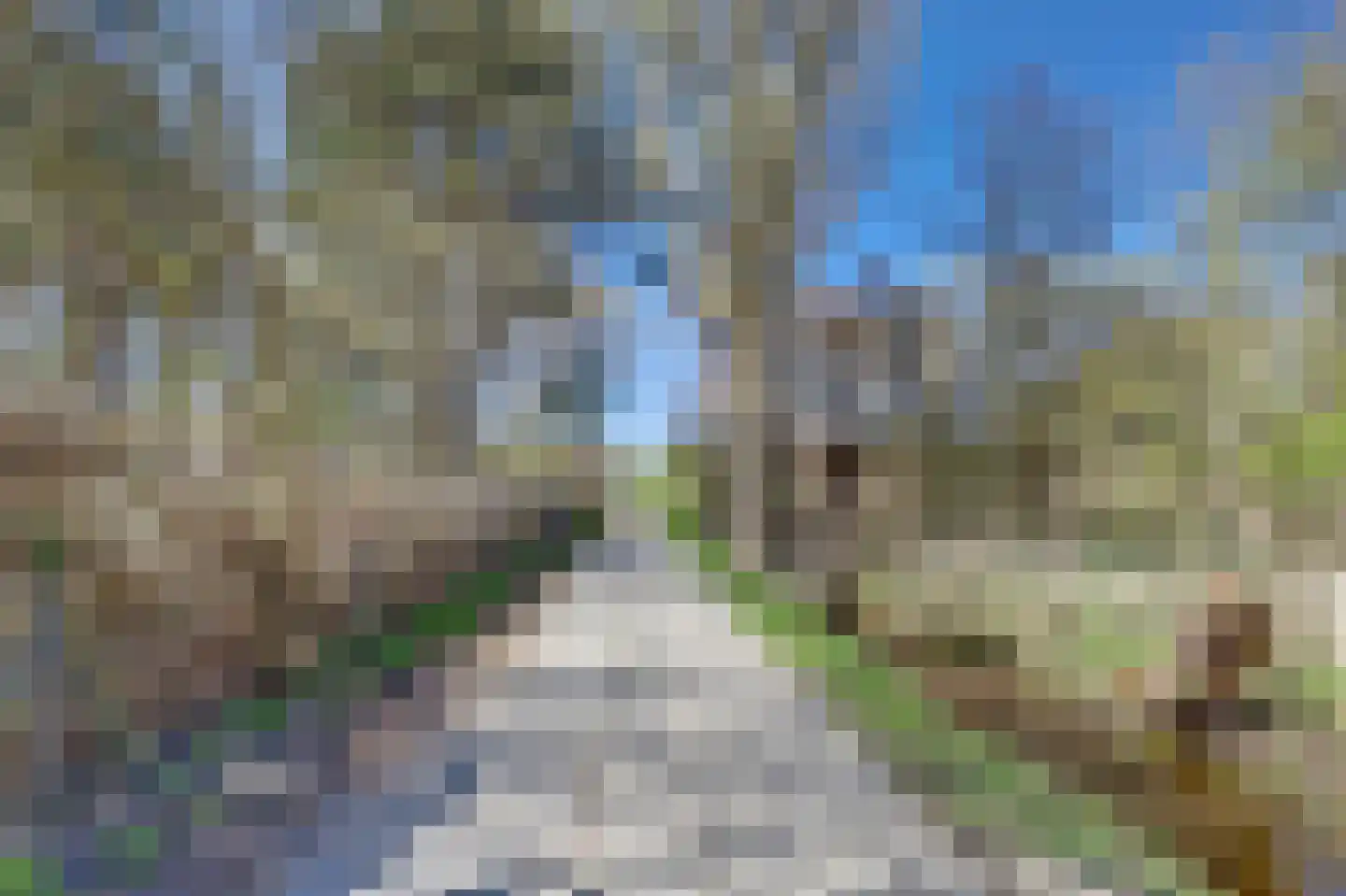 Strandweg 38 Burgh-Haamstede thumbnail 17