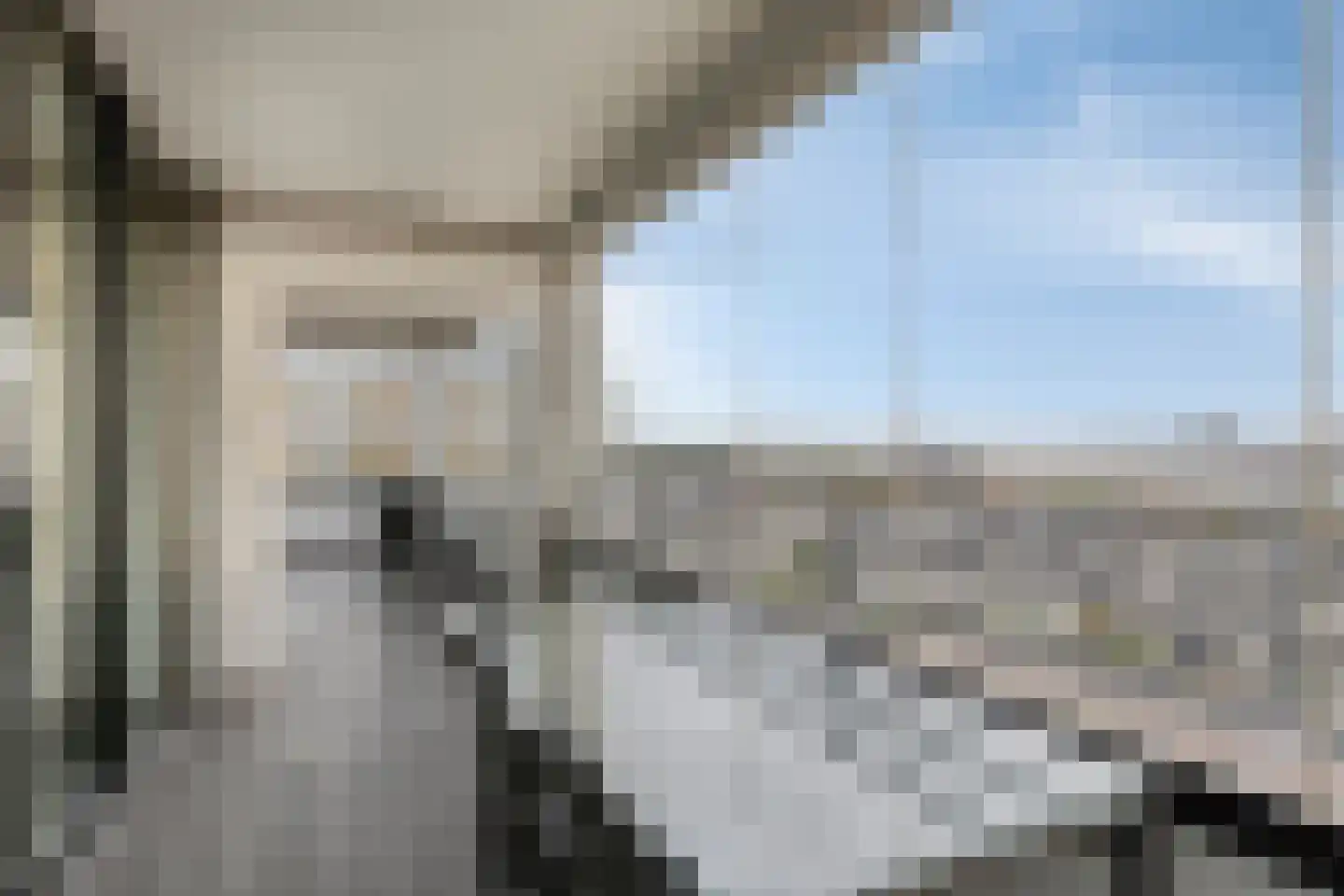 Strandweg 437 Hoek van Holland thumbnail 30