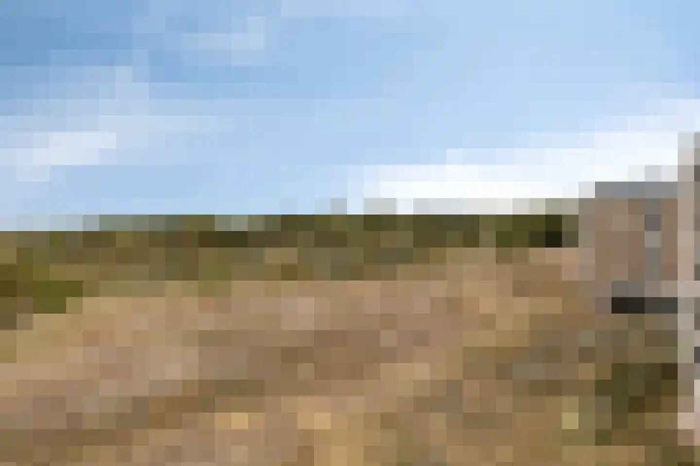 Strandweg 437 Hoek van Holland thumbnail 36