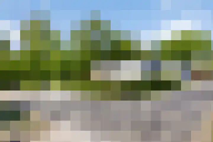 Strandweg 5 Lauwersoog thumbnail 15