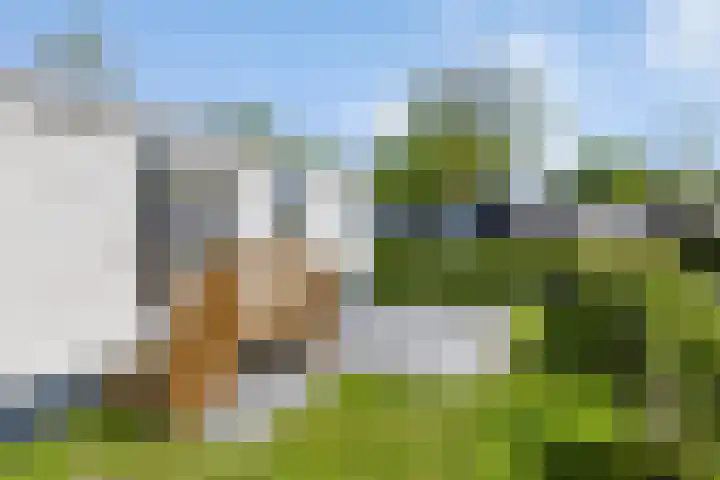 Strandweg 5 Lauwersoog thumbnail 5