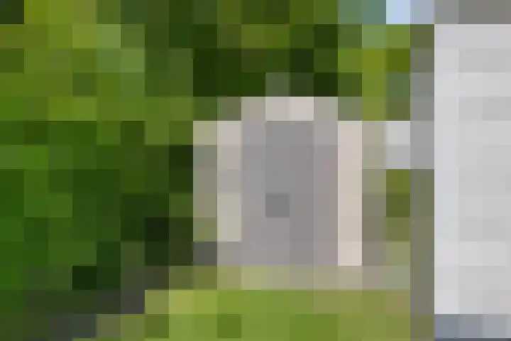 Strandweg 5 Lauwersoog thumbnail 6