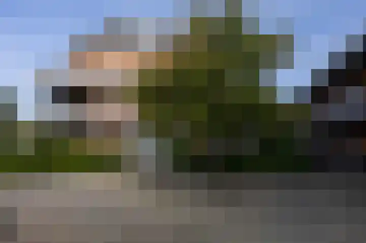 Strandweg 50 016 Nes thumbnail 14