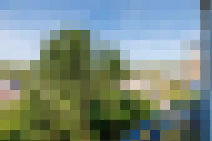 Strandweg 51 116 Nes thumbnail 23