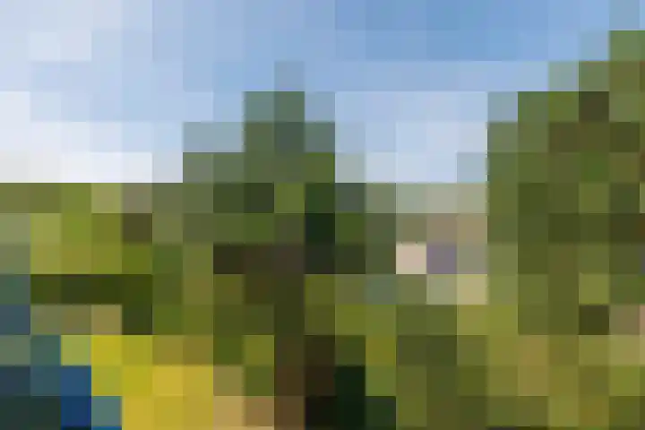 Strandweg 51 116 Nes thumbnail 25