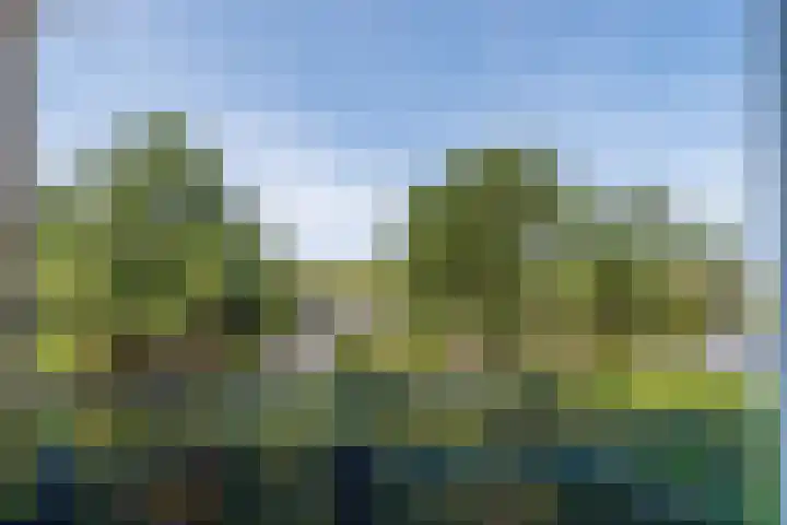 Strandweg 51 116 Nes thumbnail 26