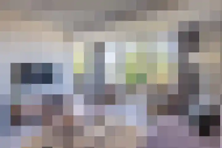 Strandweg 51 116 Nes thumbnail 8