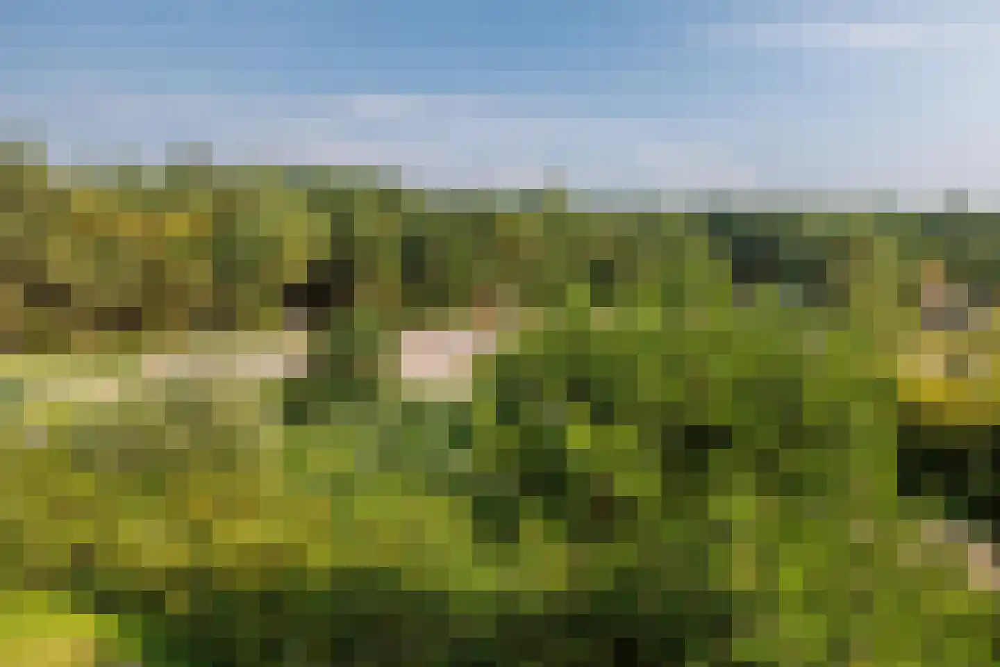 Strandweg 51 235 Nes thumbnail 18