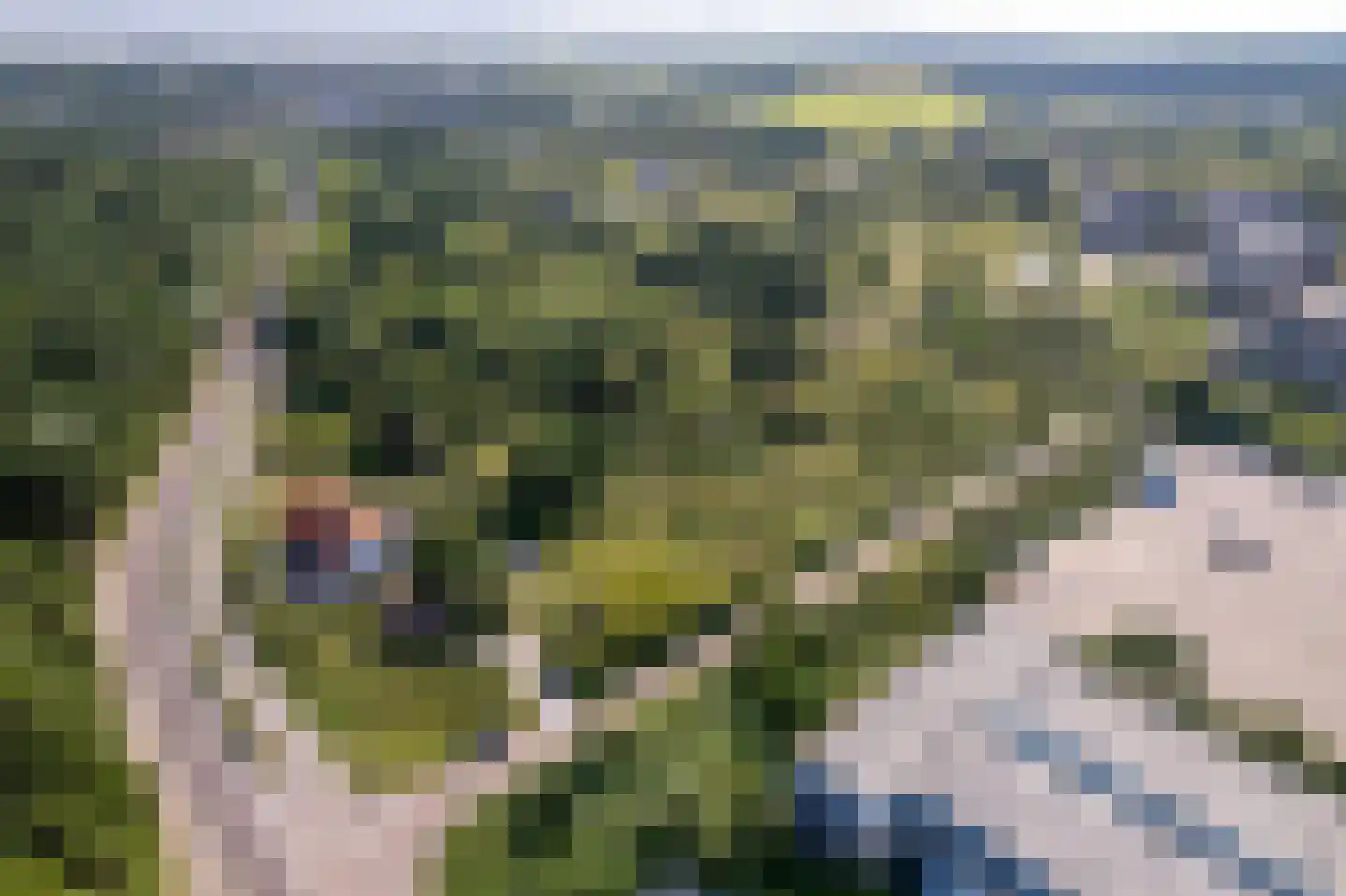 Strandweg 51 235 Nes thumbnail 23
