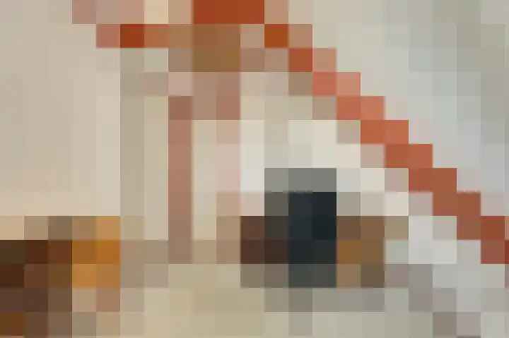 Strandweg 6 Pingjum thumbnail 24