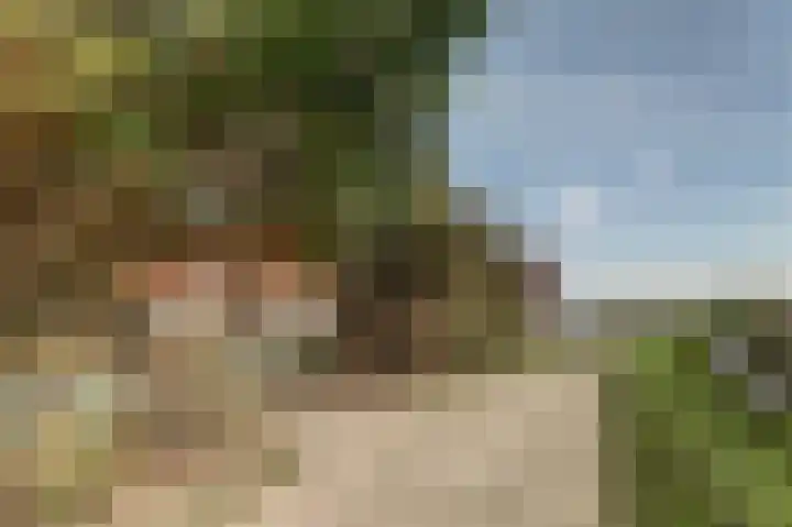 Strandweg 6 Pingjum thumbnail 27