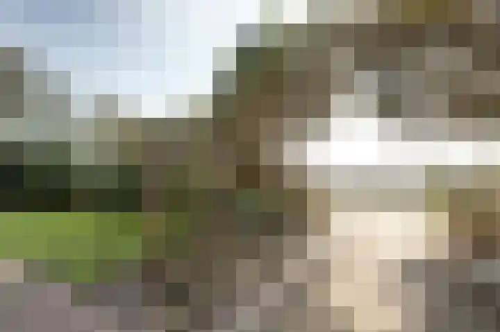 Strandweg 6 Pingjum thumbnail 29