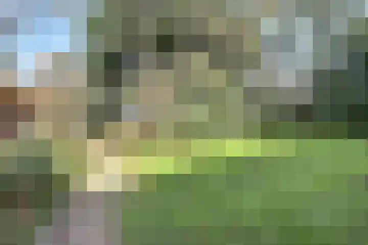 Strandweg 6 Pingjum thumbnail 30