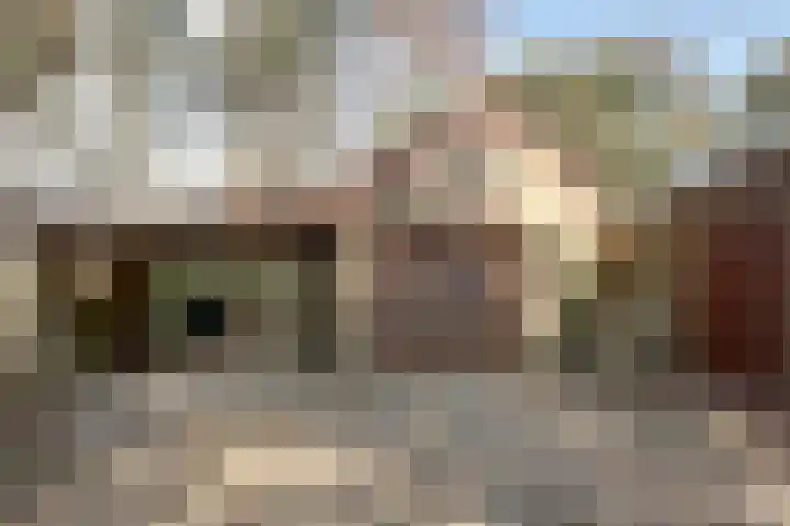 Strandweg 6 Pingjum thumbnail 32