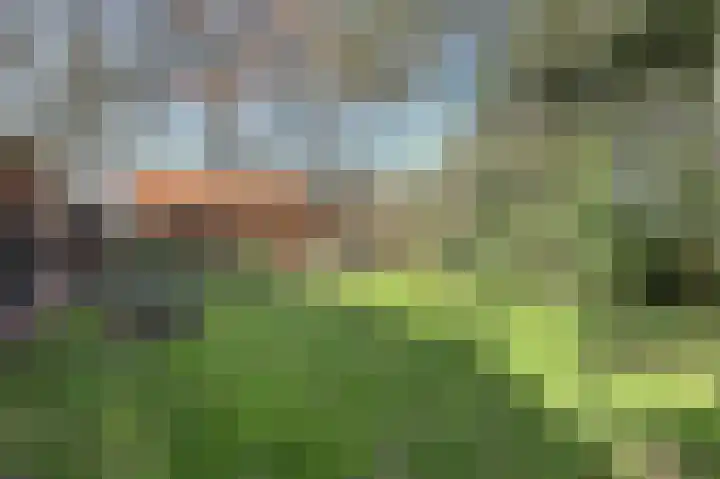 Strandweg 6 Pingjum thumbnail 33