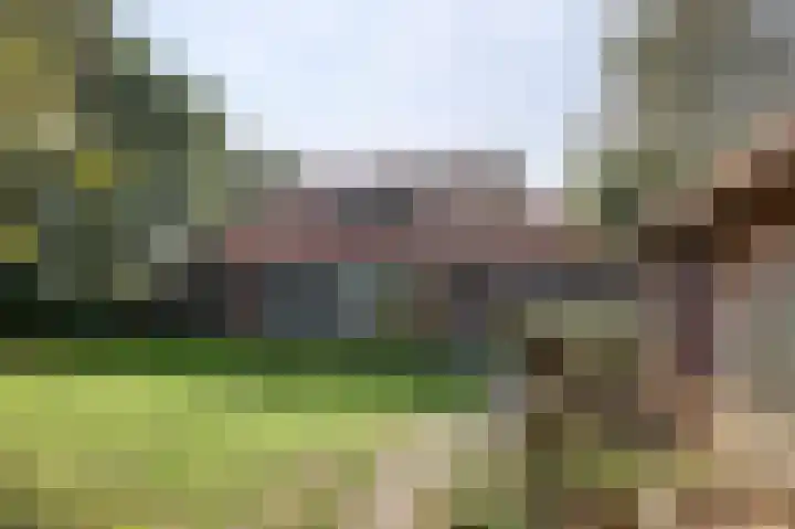 Strandweg 6 Pingjum thumbnail 34