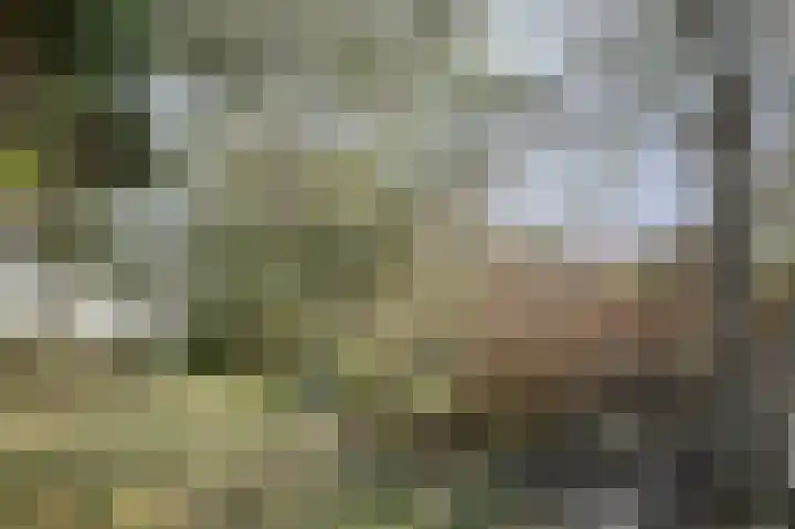 Strandweg 6 Pingjum thumbnail 38