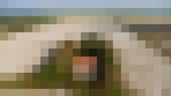 Strandweg 6 Pingjum thumbnail 39