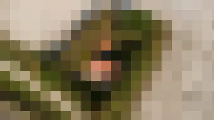Strandweg 6 Pingjum thumbnail 42