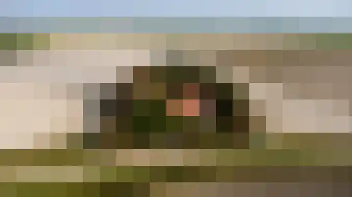 Strandweg 6 Pingjum thumbnail 43