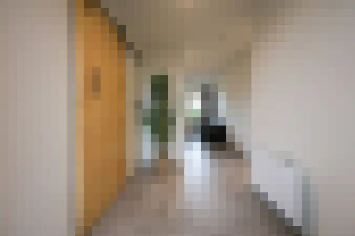 Strandweg 61 025 Buren thumbnail 6