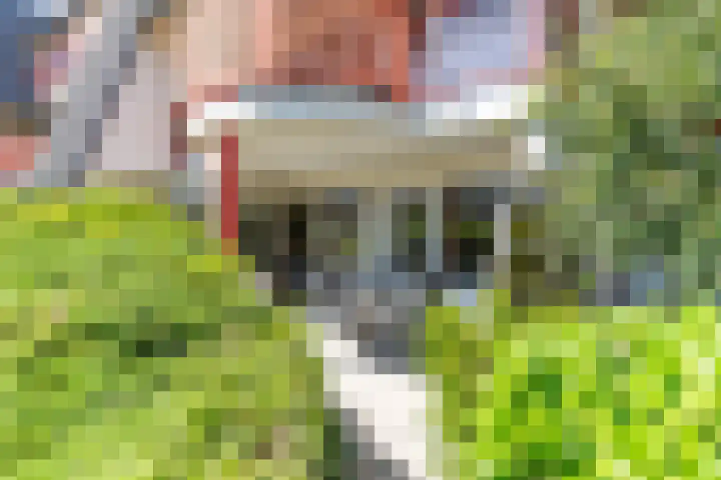 Strandweg 61 026 Buren thumbnail 21