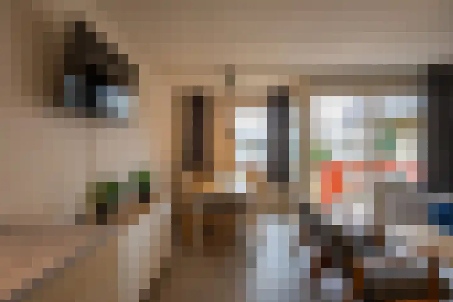 Strandweg 61 056 Buren thumbnail 12