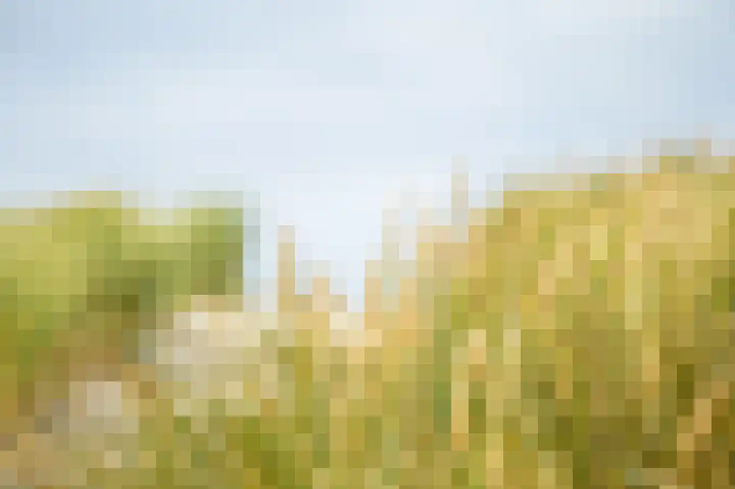 Strandweg 61 065 Buren thumbnail 14