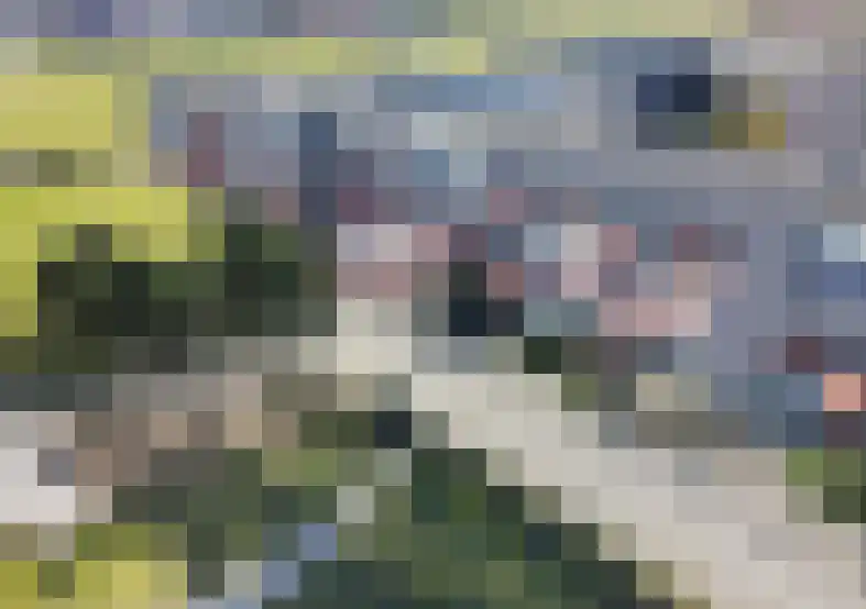 Strandweg 61 065 Buren thumbnail 17