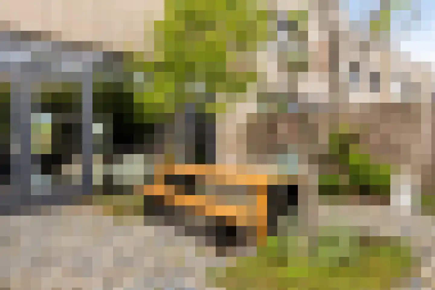 Strandweg 64 Hoek van Holland thumbnail 52