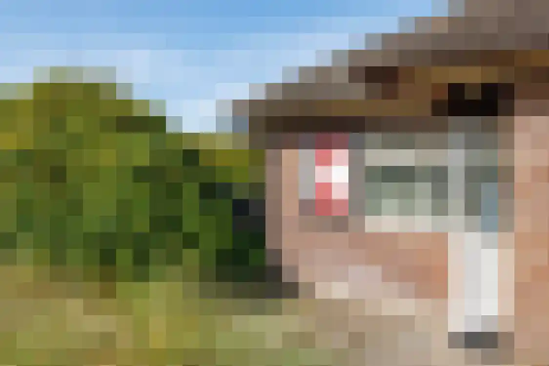 Strandweg 74 Buren thumbnail 10