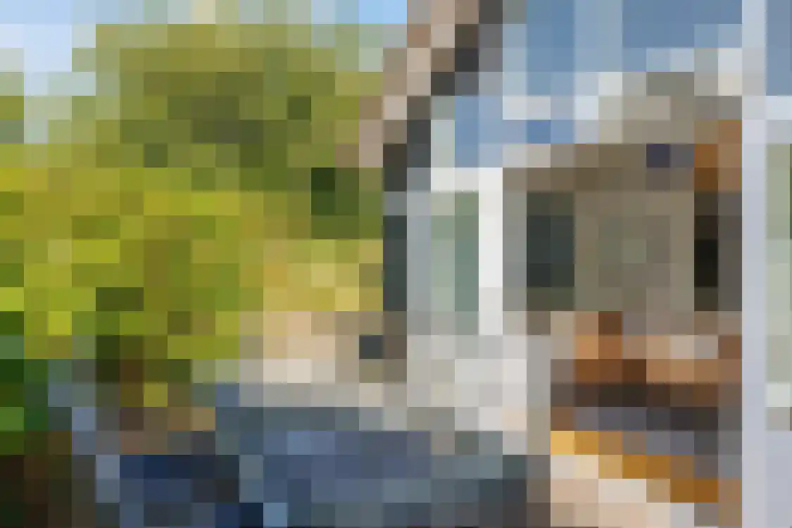 Strandweg 74 Buren thumbnail 21