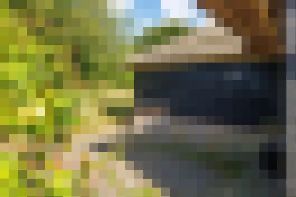 Strandweg 74 Buren thumbnail 24