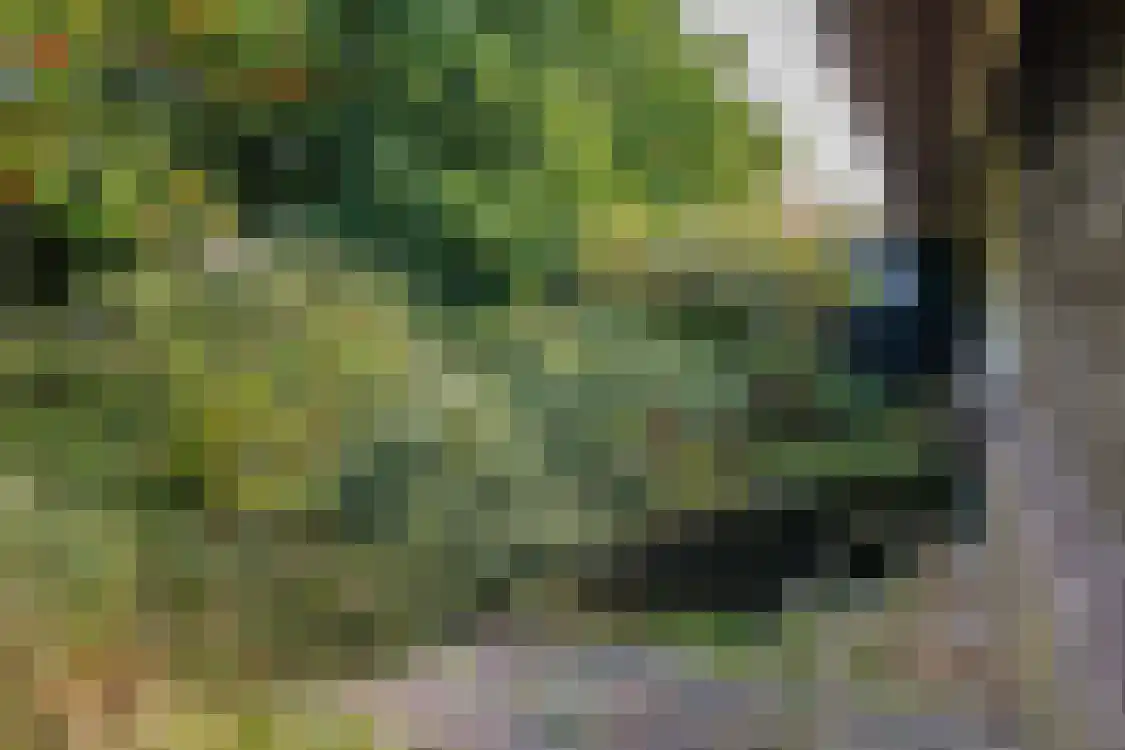 Strandweg 74 Buren thumbnail 40