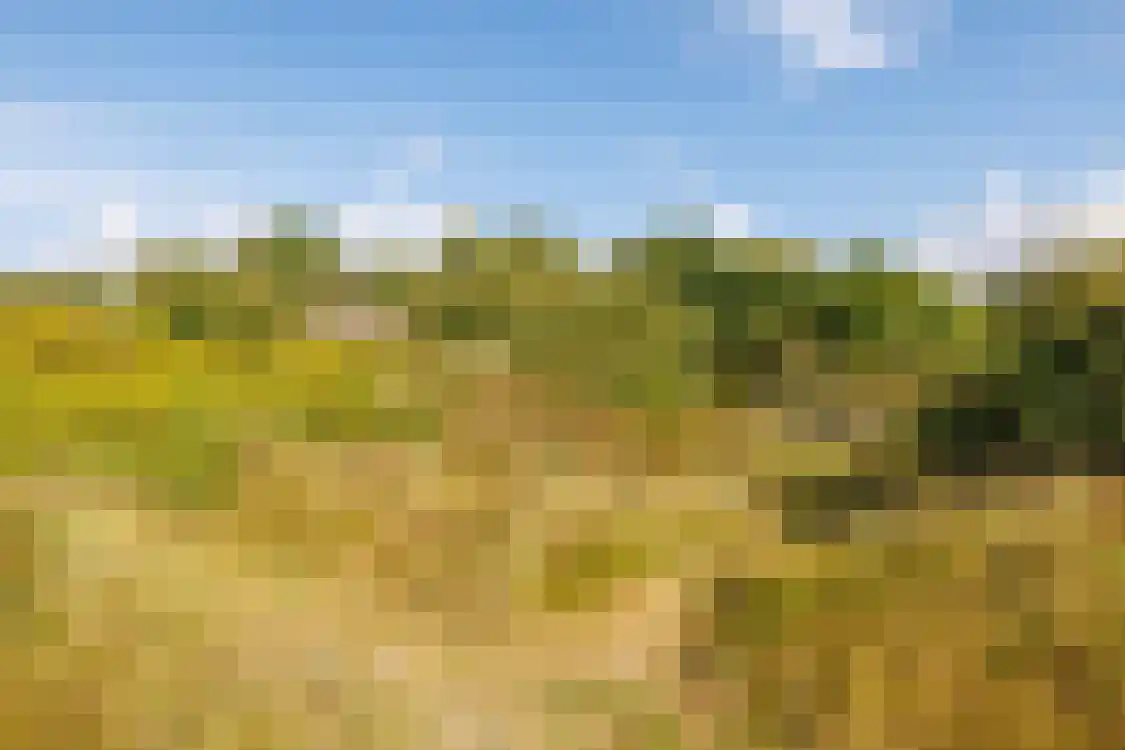 Strandweg 74 Buren thumbnail 41