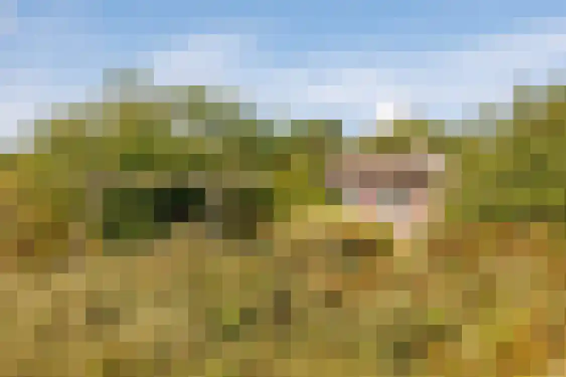Strandweg 74 Buren thumbnail 42