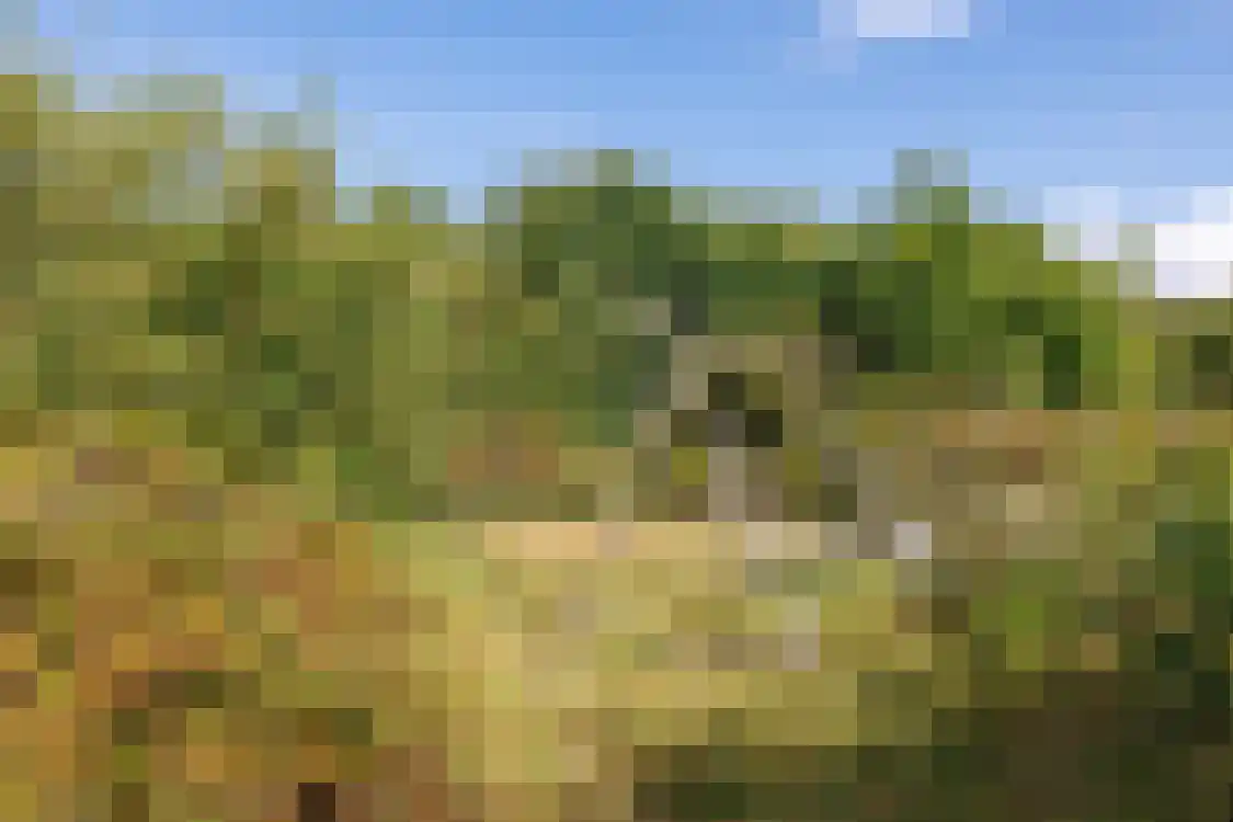 Strandweg 74 Buren thumbnail 43