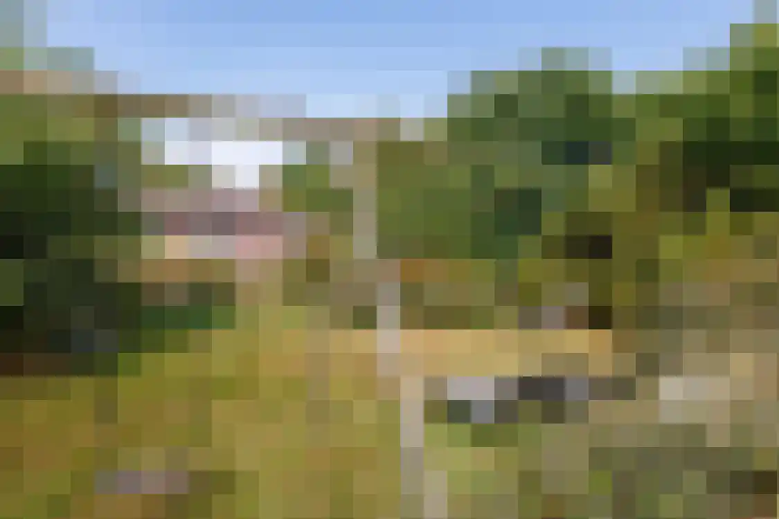 Strandweg 74 Buren thumbnail 44