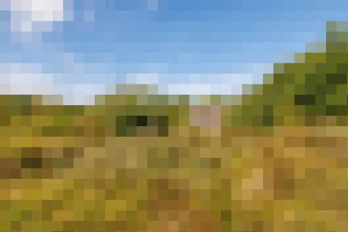 Strandweg 74 Buren thumbnail 45