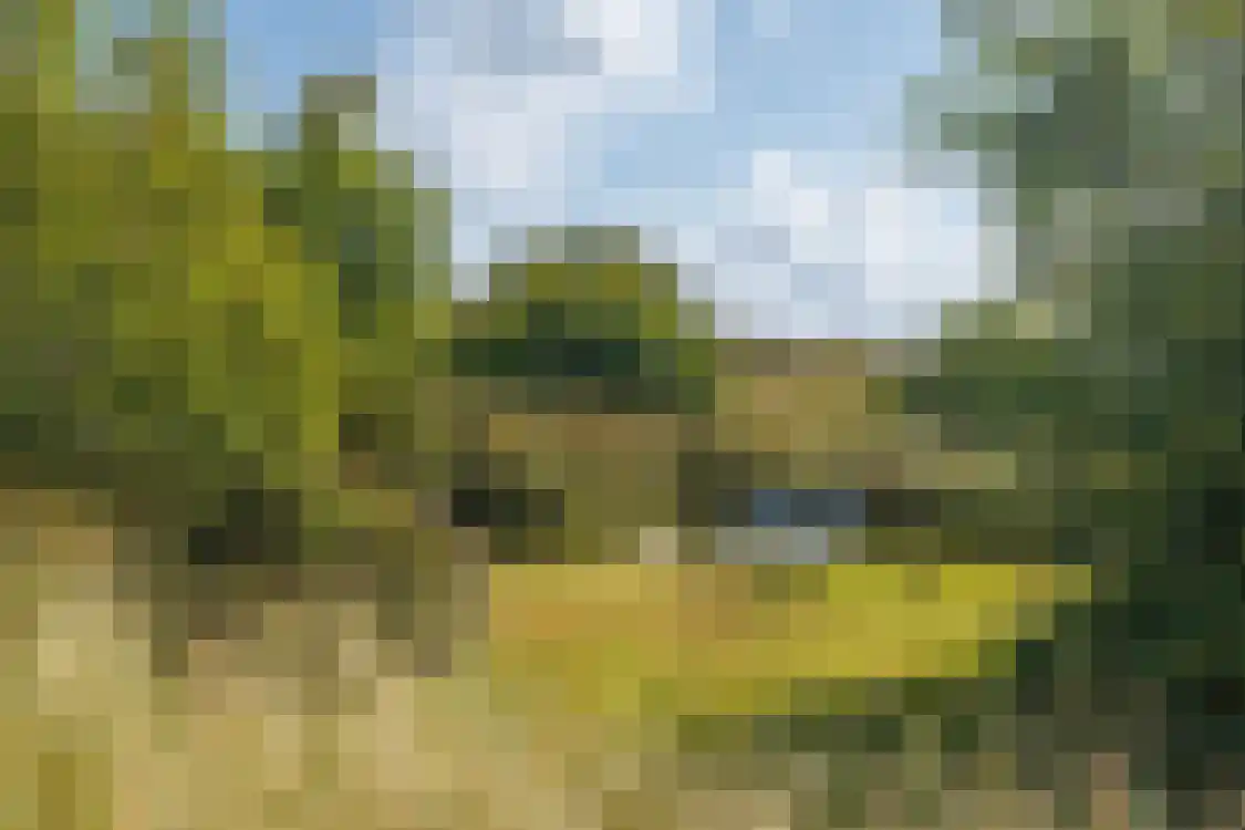 Strandweg 74 Buren thumbnail 46