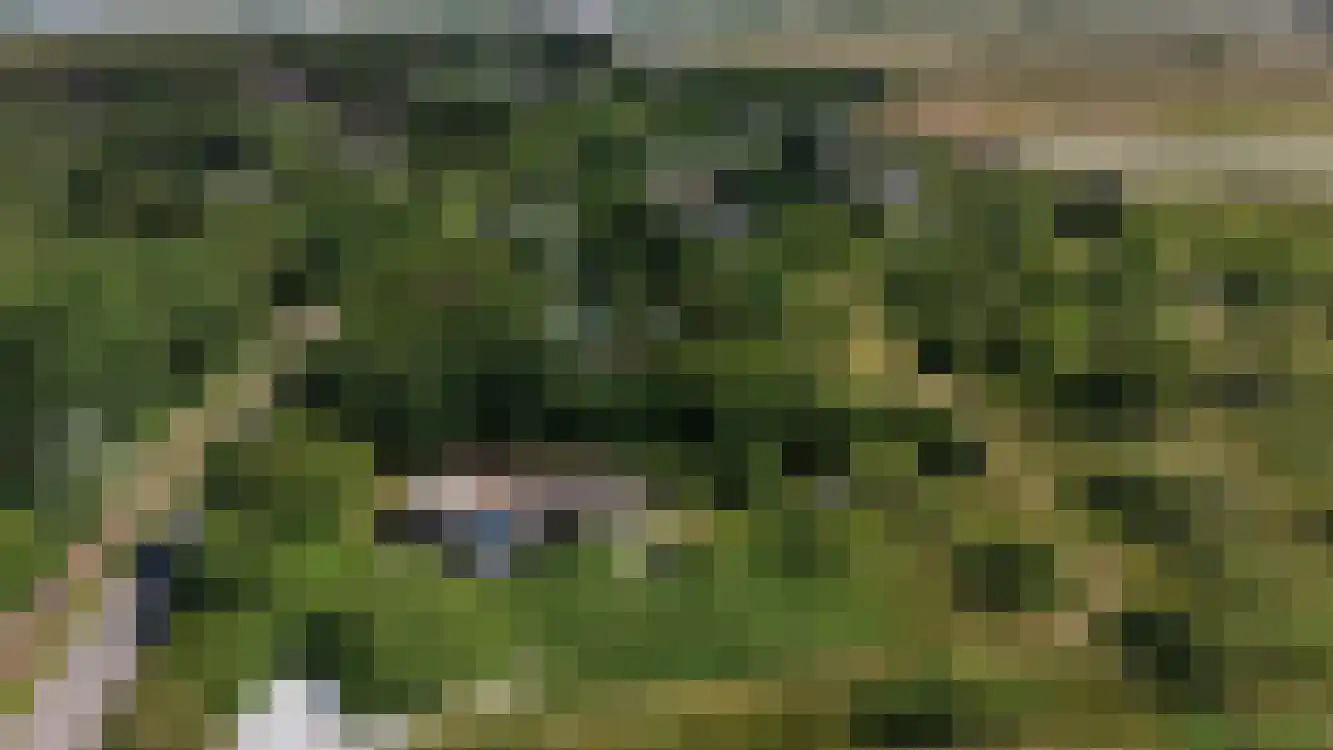 Strandweg 74 Buren thumbnail 49