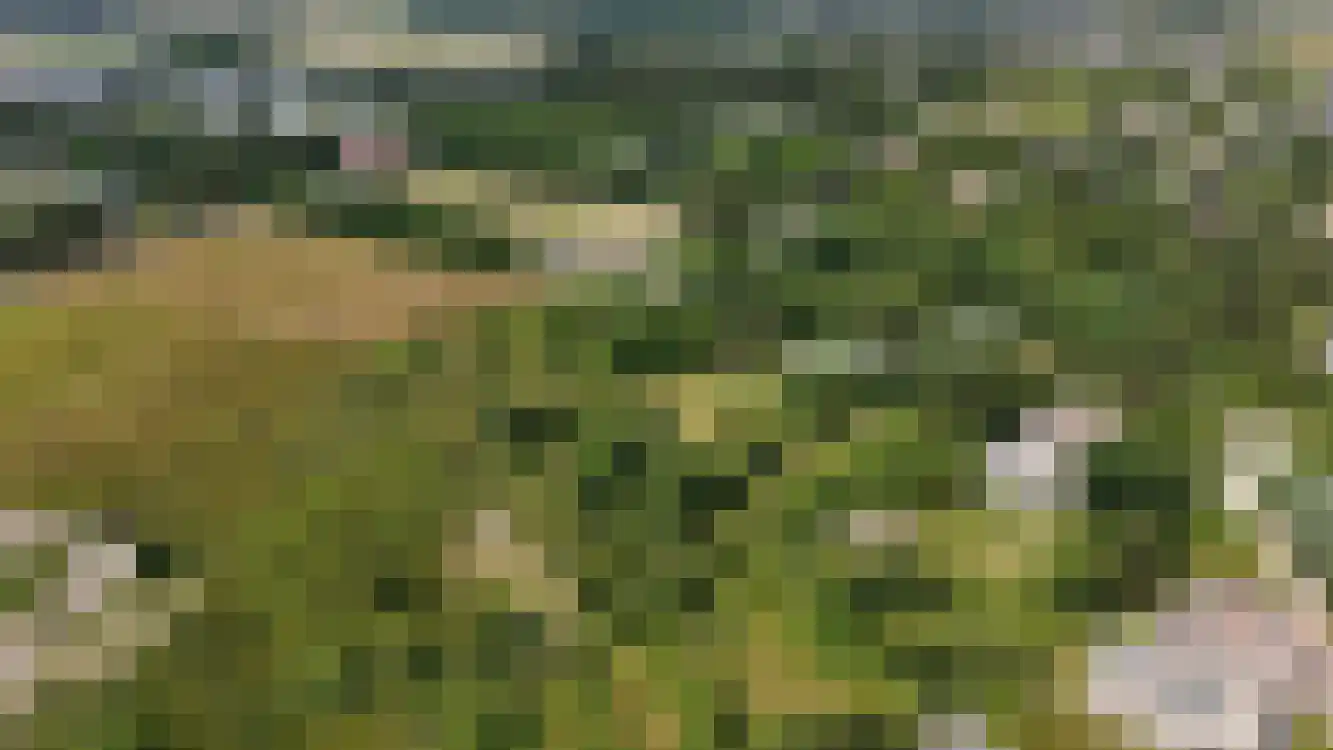 Strandweg 74 Buren thumbnail 50