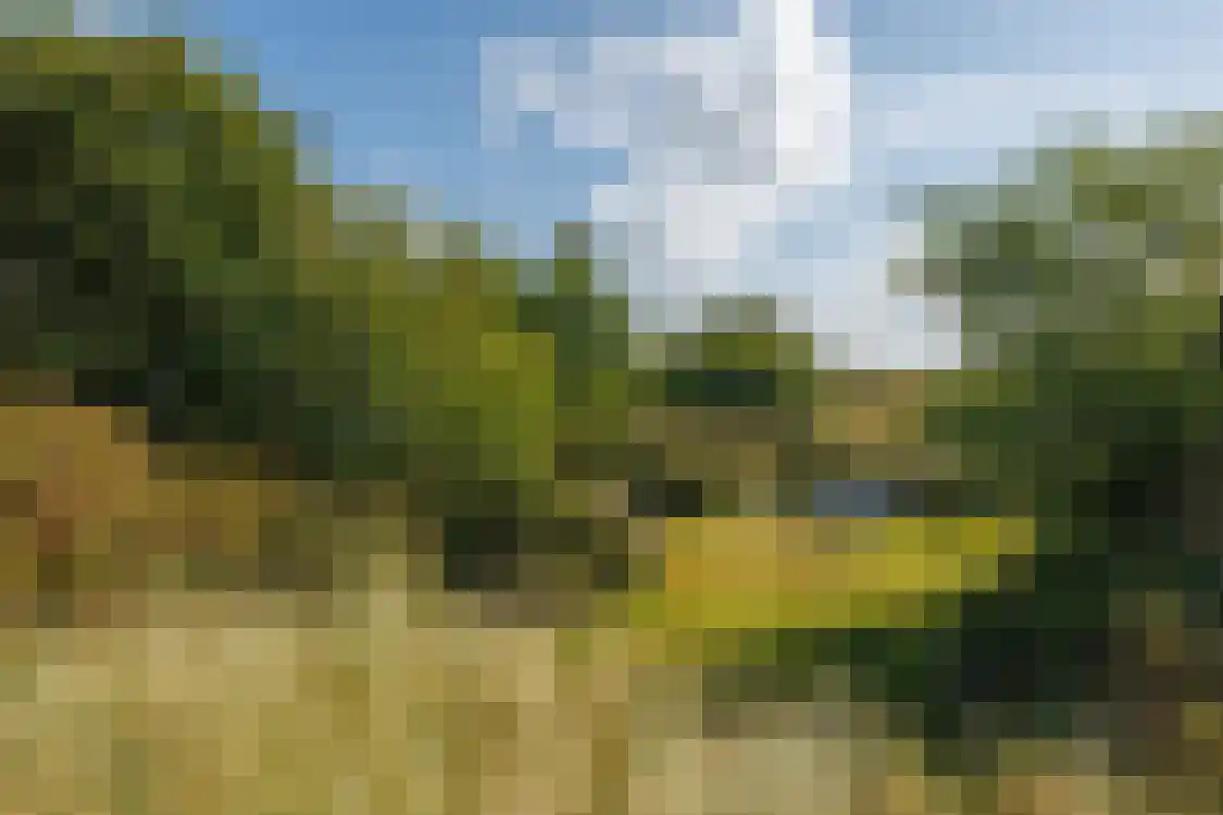 Strandweg 74 Buren thumbnail 6