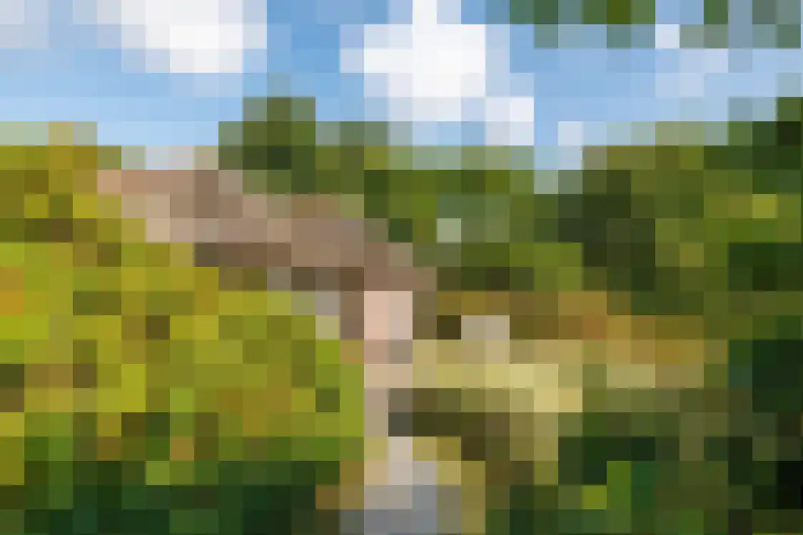 Strandweg 74 Buren thumbnail 8