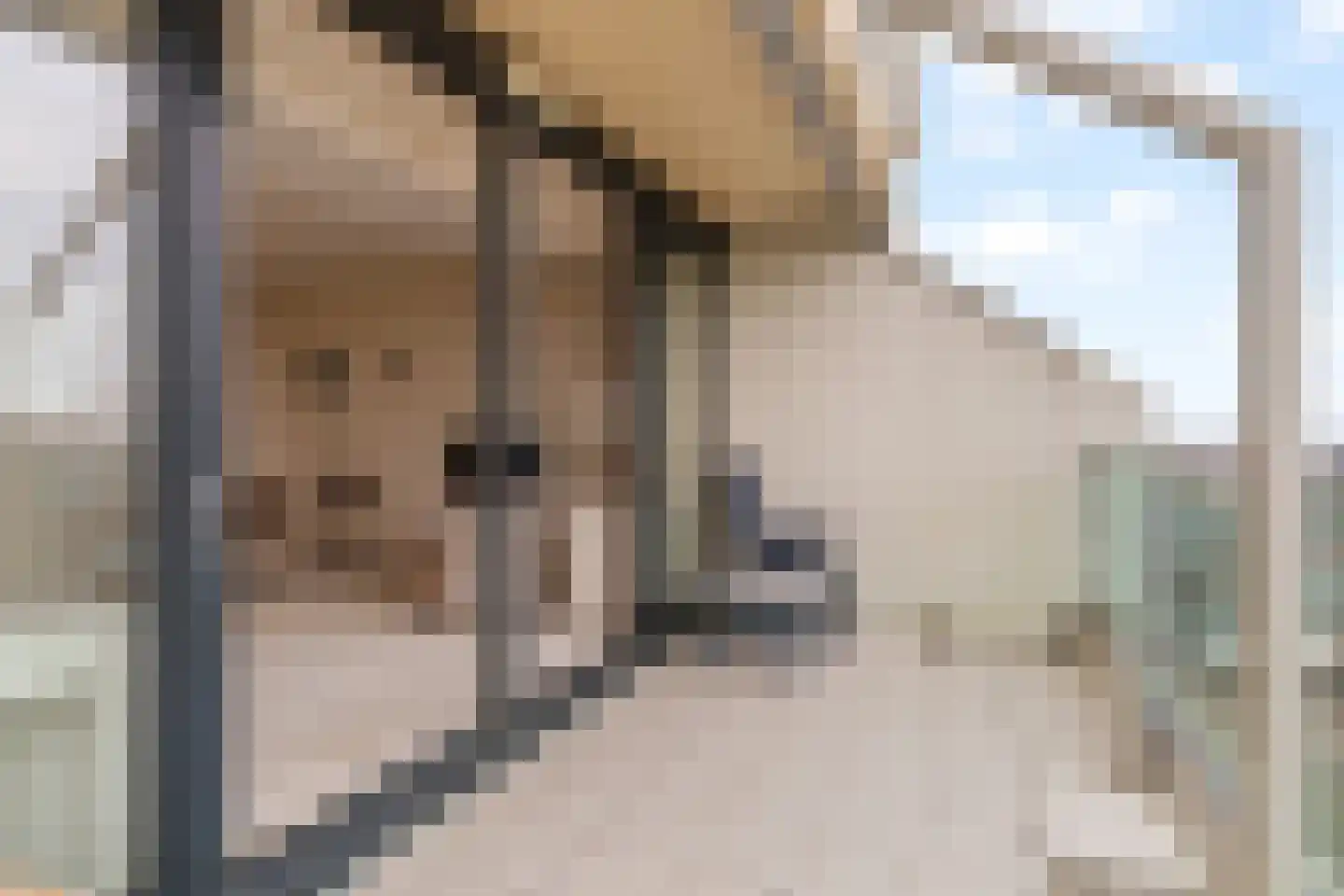 Strandwijck 16 Noordwijk thumbnail 24